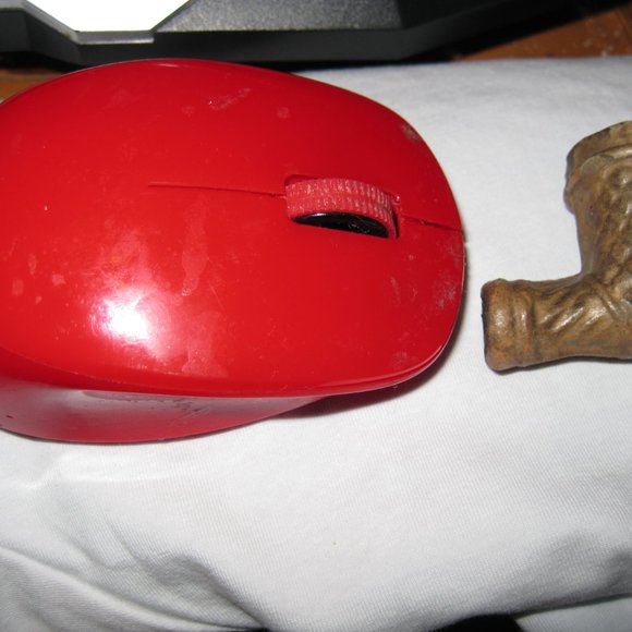 Indian Pipes from the mid west - Picture 5 of 16